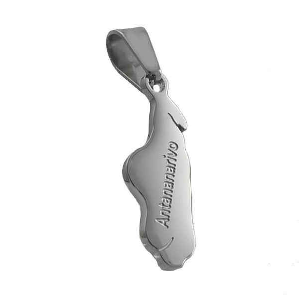 Pendentif en Acier 316 - Madagascar - argent